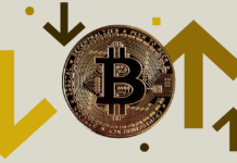 Mastering Bitcoin Futures Contracts: BTCC Japan’s Role in the Virtual Cryptocurrency Exchange Bitcoin